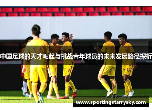 中国足球的天才崛起与挑战青年球员的未来发展路径探析
